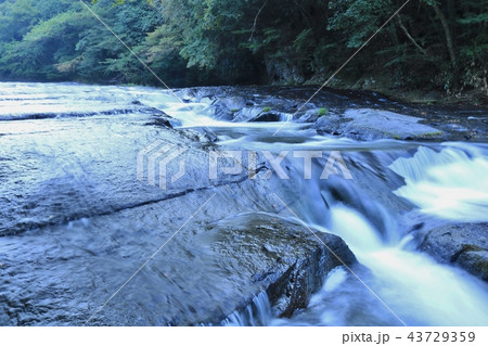 美しい水が流れる阿蘇ゆうすい自然の森 43729359