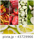 Healthy food photo 43729966