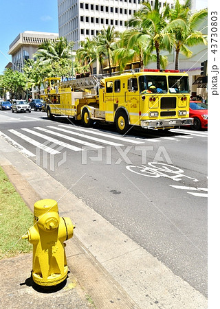 ハワイの休日 43730803