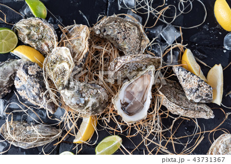 Open oysters ready for consuming, country-style Open oysters ready for consuming, country-style 43731367