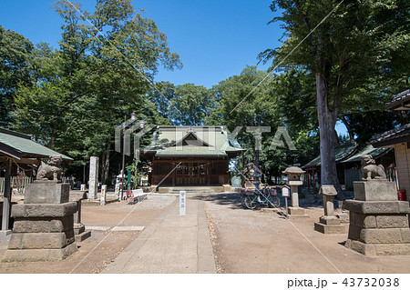 与野　氷川神社　本殿　与野七福神　さいたま市 43732038