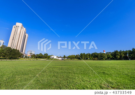 お台場 潮風公園の太陽の広場 43733549