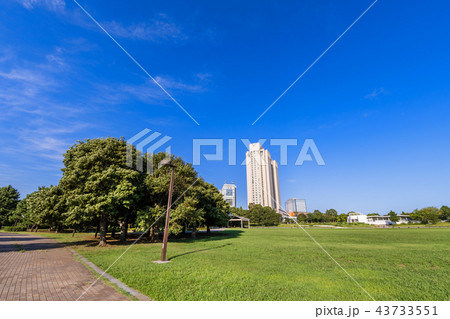 お台場 潮風公園の太陽の広場 お台場 潮風公園の太陽の広場 43733551