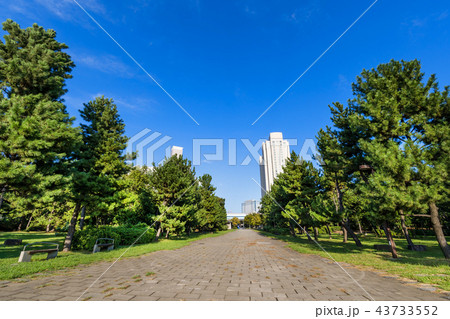 お台場 潮風公園の風景 お台場 潮風公園の風景 43733552