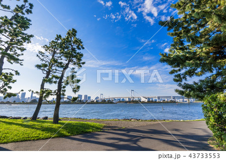 お台場海浜公園の風景 お台場海浜公園の風景 43733553