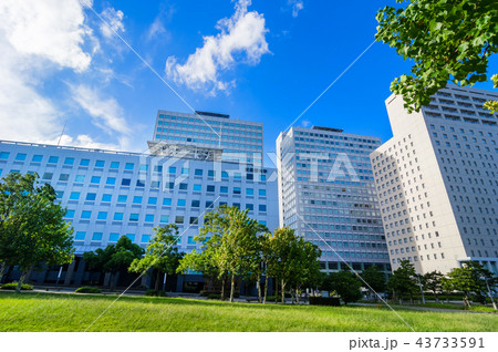 東京有明の風景 東京有明の風景 43733591