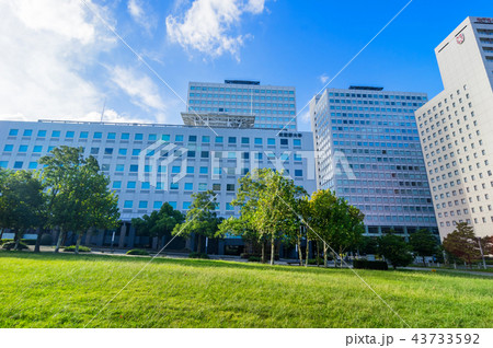 東京有明の風景 東京有明の風景 43733592