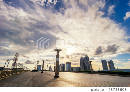 お台場センタープロムナード 夢の大橋の夕景 43733603