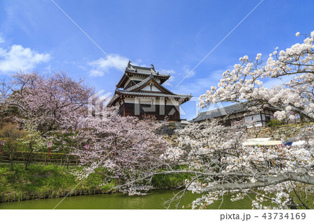 郡山城 郡山城 43734169