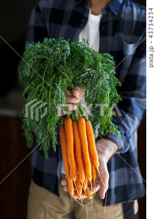 Gardener with carrots 43734254