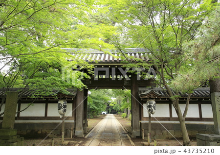 東漸寺 新緑 43735210