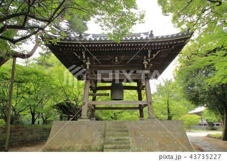 東漸寺 新緑 東漸寺 新緑 43735227
