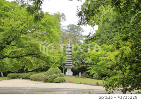 東漸寺 新緑 東漸寺 新緑 43735229