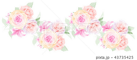 透明水彩 水彩画 薔薇 43735425