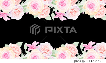 透明水彩 水彩画 薔薇 43735428