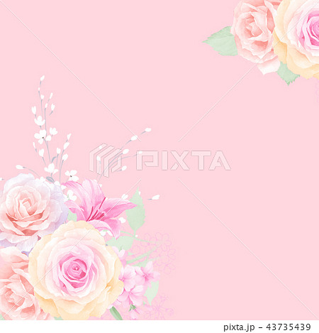 透明水彩 水彩画 薔薇 43735439