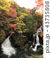 竜頭の滝 43735808