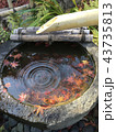 水琴窟と紅葉 43735813