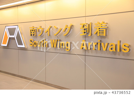 成田空港　南ウイング　到着口 43736552