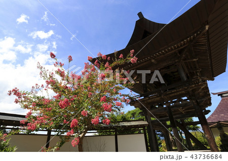 長野県　高山寺 43736684