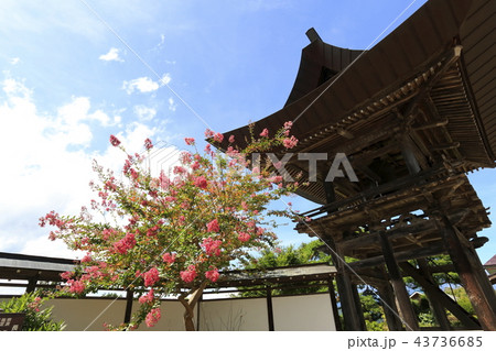 長野県　高山寺 43736685