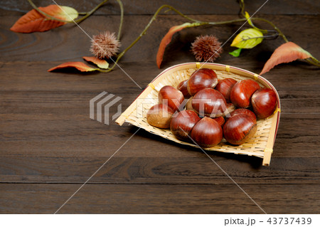 食品 栗 秋の収穫 食品 栗 秋の収穫 43737439