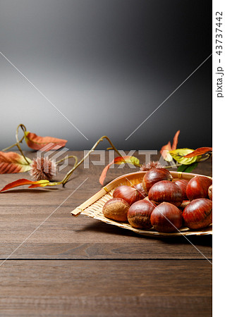 食品　栗　秋の収穫 43737442