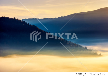 thick fog above the valley at sunrise 43737495