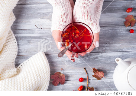 Hands of a woman in a sweater holding a cup of hot tea on a gray wooden background with copy space Hands of a woman in a sweater holding a cup of hot tea on a gray wooden background with copy space 43737585