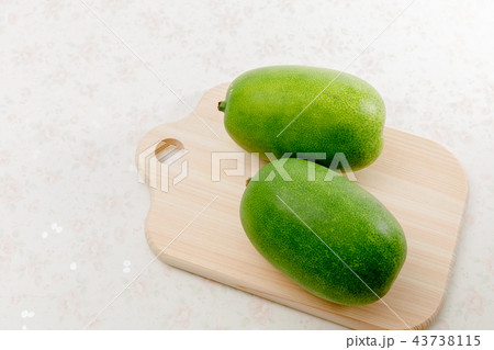 野菜　冬瓜　とうがん 43738115