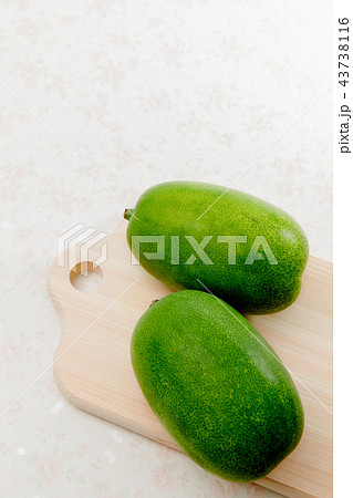 野菜　冬瓜　とうがん 43738116