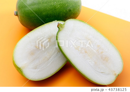 野菜　冬瓜　とうがん 43738125