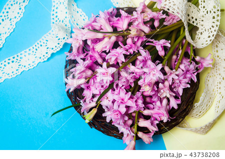 Hyacinth spring flowers arrangement close up Hyacinth spring flowers arrangement close up 43738208