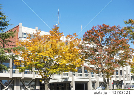 気持ちが良い快晴天青空に映える紅葉が美しい秋の郡山市役所中核市移行記念植樹コントラストが美しい 43738521