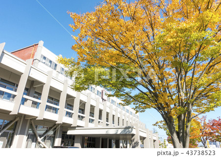 気持ちが良い快晴天青空に映える紅葉が美しい秋の郡山市役所中核市移行記念植樹コントラストが美しい 43738523
