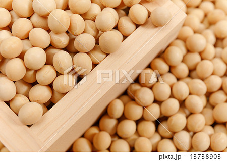 豆類 大豆 乾燥豆 穀類 豆類 大豆 乾燥豆 穀類 43738903