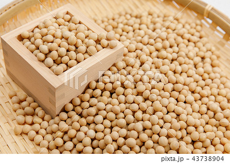 豆類　大豆　乾燥豆　穀類 43738904