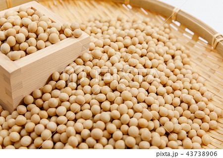 豆類 大豆 乾燥豆 穀類 豆類 大豆 乾燥豆 穀類 43738906