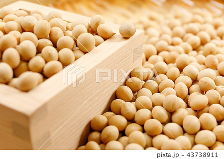 豆類 大豆 乾燥豆 穀類 豆類 大豆 乾燥豆 穀類 43738911