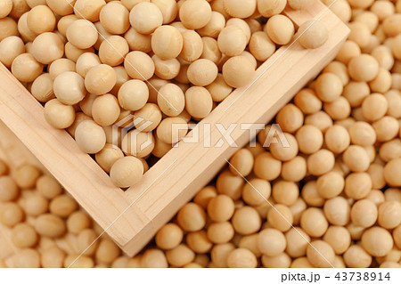 豆類　大豆　乾燥豆　穀類 43738914