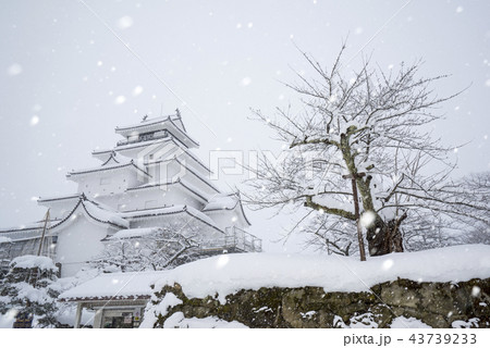 史跡若松城址鶴ヶ城本丸天守閣に深々と降り積もる輝く雪フラッシュ反射大粒冬イメージ 史跡若松城址鶴ヶ城本丸天守閣に深々と降り積もる輝く雪フラッシュ反射大粒冬イメージ 43739233