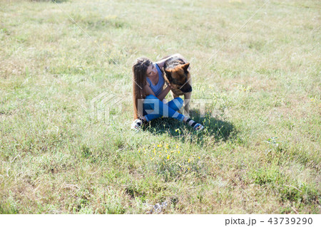 woman plays with dog sheepdog training nice woman plays with dog sheepdog training nice 43739290