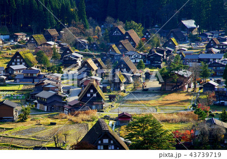 白川郷 合掌造り 紅葉 岐阜県 白川郷 合掌造り 紅葉 岐阜県 43739719