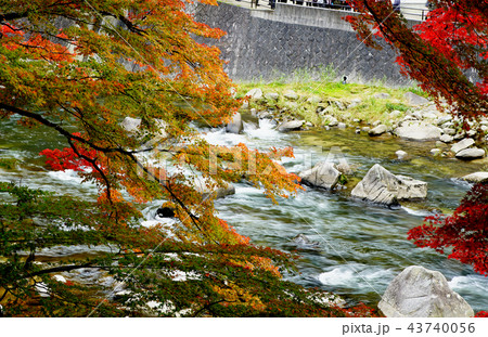 香嵐渓 紅葉 愛知県 香嵐渓 紅葉 愛知県 43740056