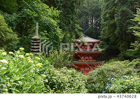 京都府木津市岩手寺塔 重要文化財產 照片素材 圖片 圖庫