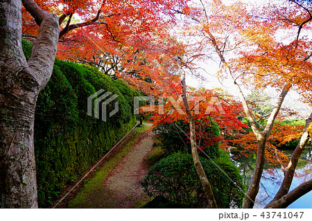 長岳寺 紅葉 奈良県 長岳寺 紅葉 奈良県 43741047