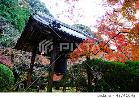 長岳寺　紅葉　奈良県 43741048