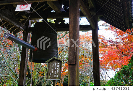 長岳寺　紅葉　奈良県 43741051