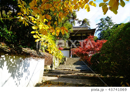 長岳寺 紅葉 奈良県 長岳寺 紅葉 奈良県 43741069