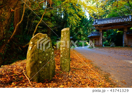 談山神社　紅葉　秋 43741329